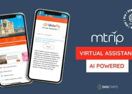 Virtual Assistant
